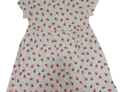 C12-05-0176-002T OldNavy Strawberry Dress GREY
