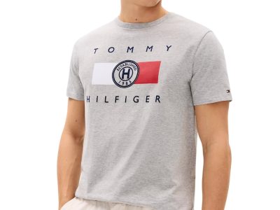 C16-10-1205-000L Hilfiger Circle Logo T-Shirt - Grey Heather #XM04144